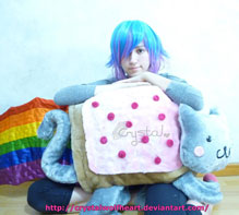 Big Handmade Nyan Cat Pillow