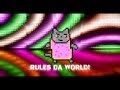 Nyan Cat Disco Remix