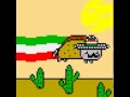 Nyan Cat in Mexico