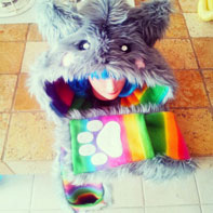 Nyan Cat Scoodie